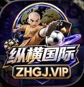 纵横国际